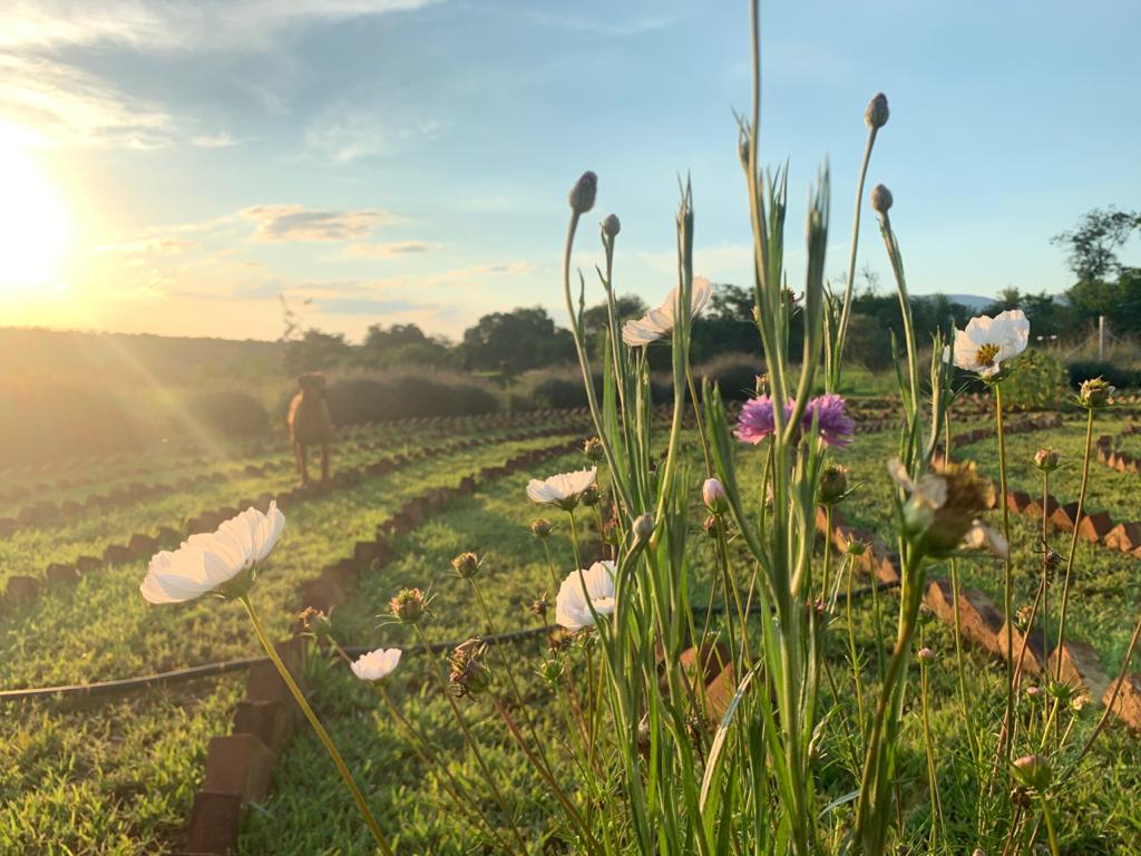 Lekker Plekkie - self-catering accommodation - labyrinth - hekpoort - retreat - weekend getaway - accommodation