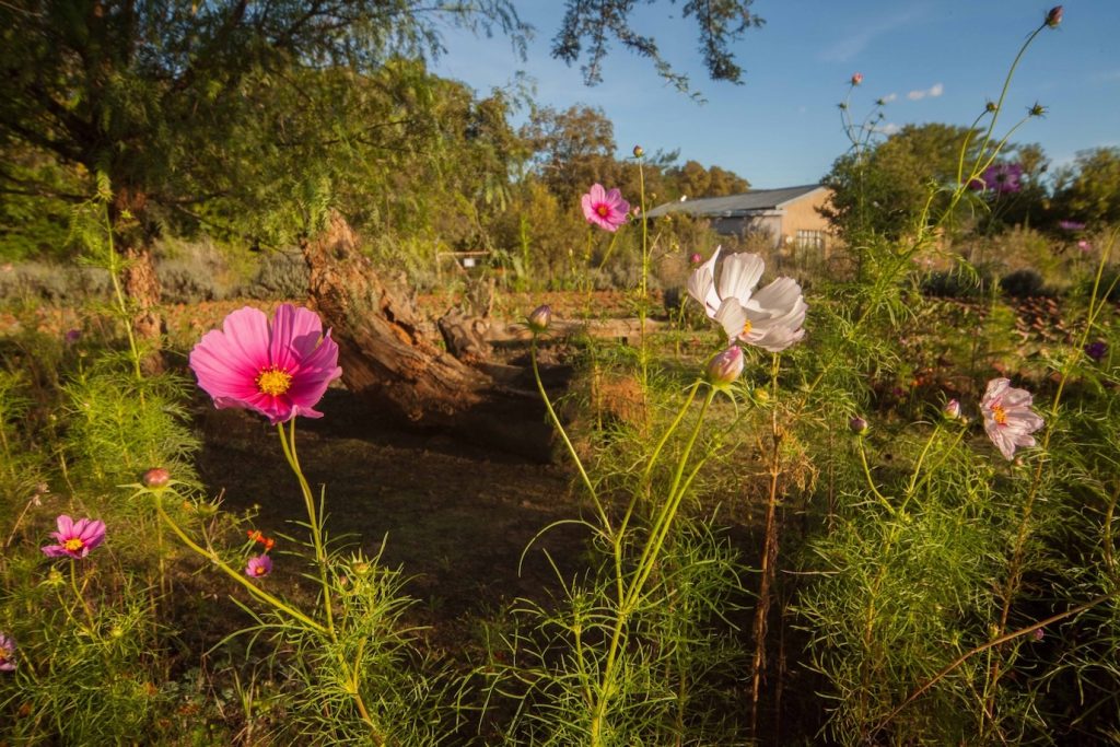 Lekker Plekkie - self-catering accommodation - labyrinth - hekpoort - retreat - weekend getaway - accommodation